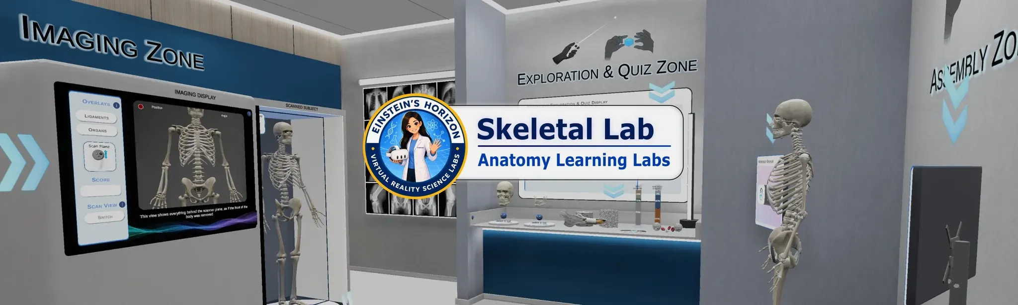 Anatomy Learning Labs: Skeletal Lab