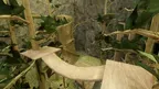 Gorilla Realism⠀ screenshot 3