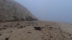 Foggy California Beach - VR Backgrounds screenshot 4