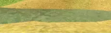 Gorilla Party hero image