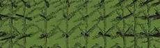 Gorilla Racers hero image