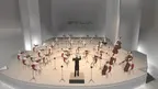 ZYLIA Concert Hall screenshot 5