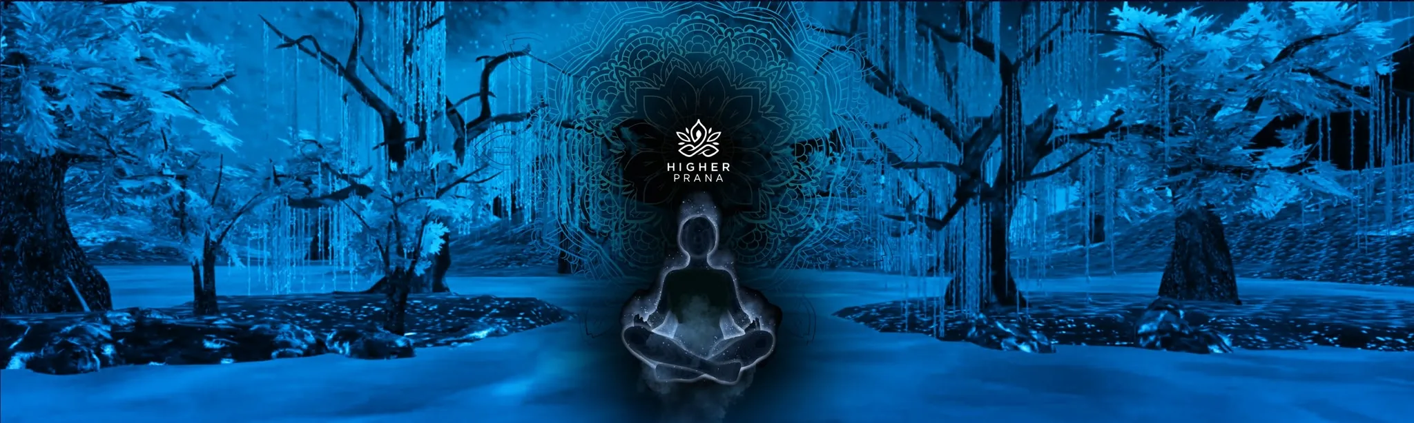 Higher Prana Demo