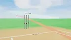 Fast Cricket VR screenshot 5