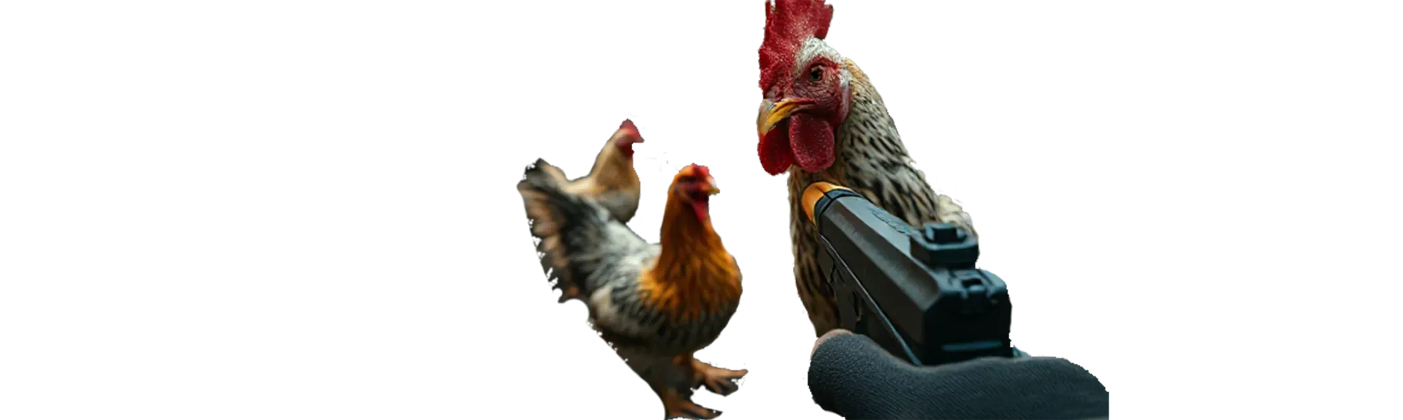 AR/XR Chicken Shooter