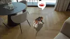 HoloPets: AR Pet Simulator screenshot 5