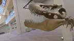 Vintage Dinosaur Museum screenshot 5