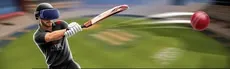 Pixel Cricket hero image