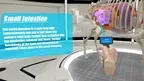 Animal Anatomy Explorer screenshot 5