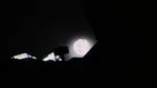 Fearing Gorilla screenshot 1