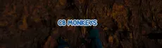 Cb monkeys hero image