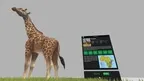 Animal Kingdom screenshot 0