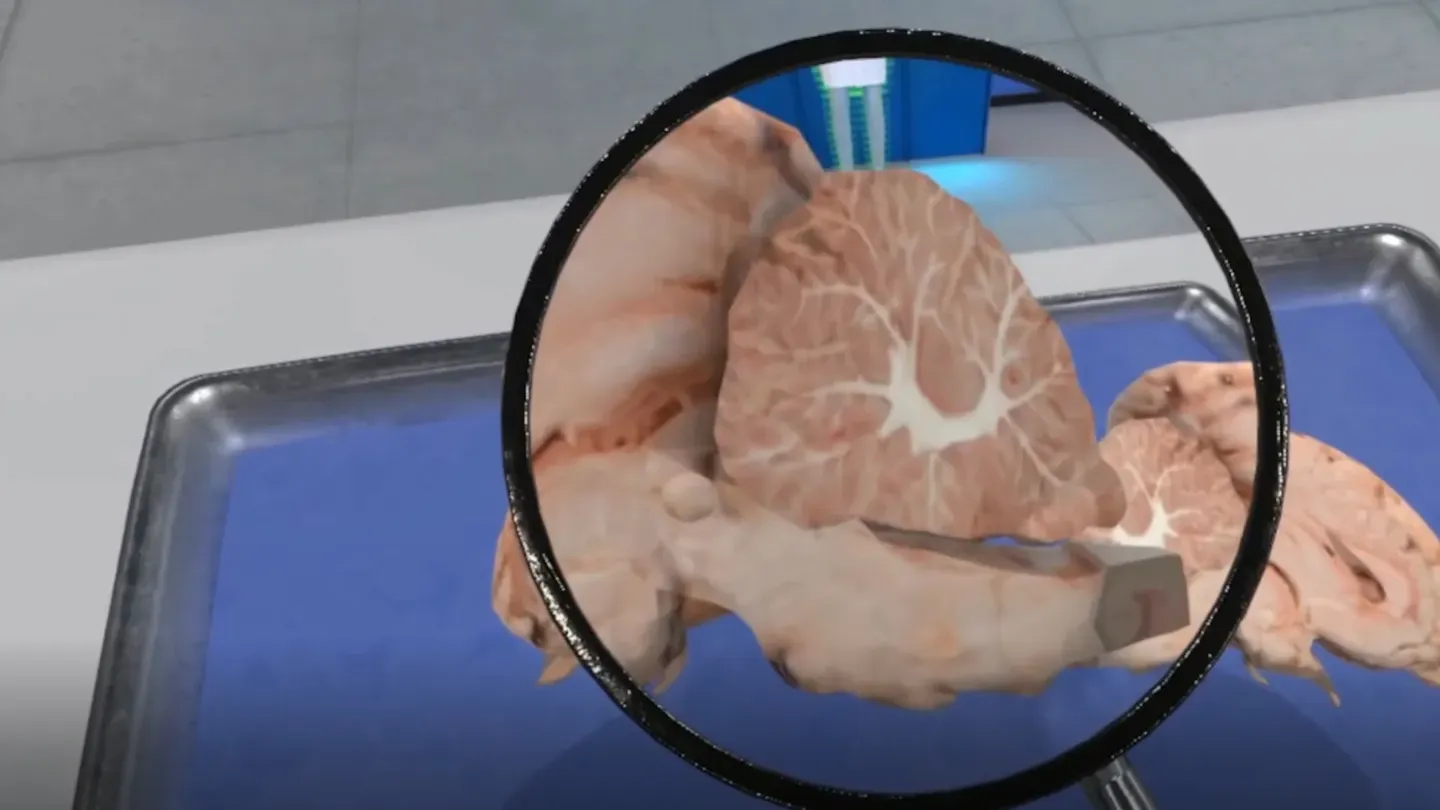  Dissection Simulator: Mammalian Organ Pack trailer 0