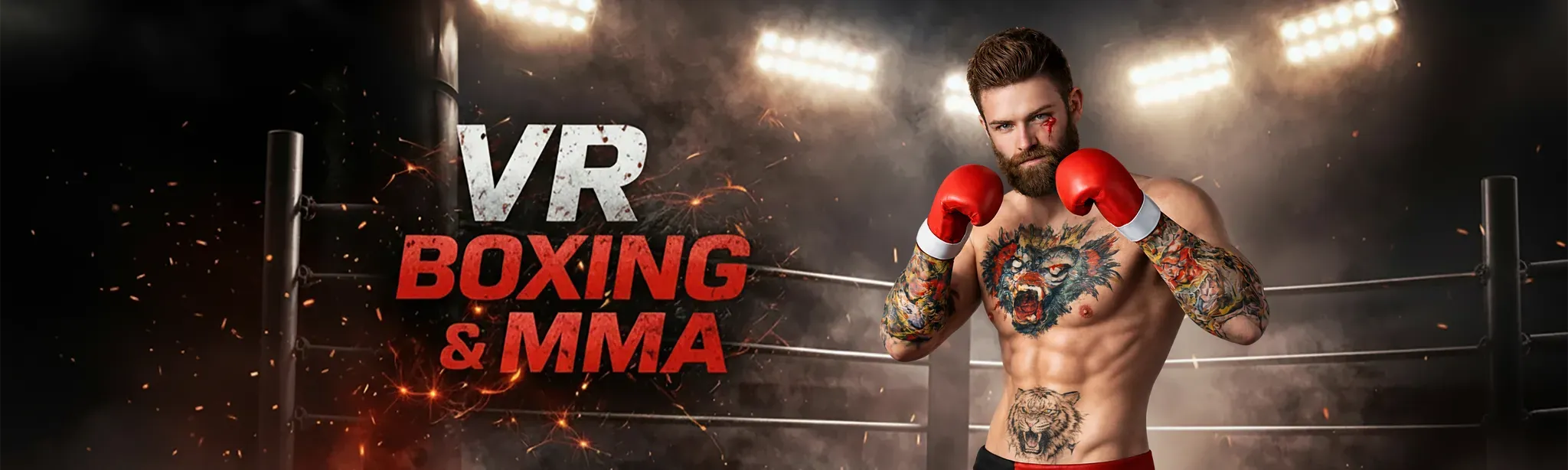 VR Boxing And MMA