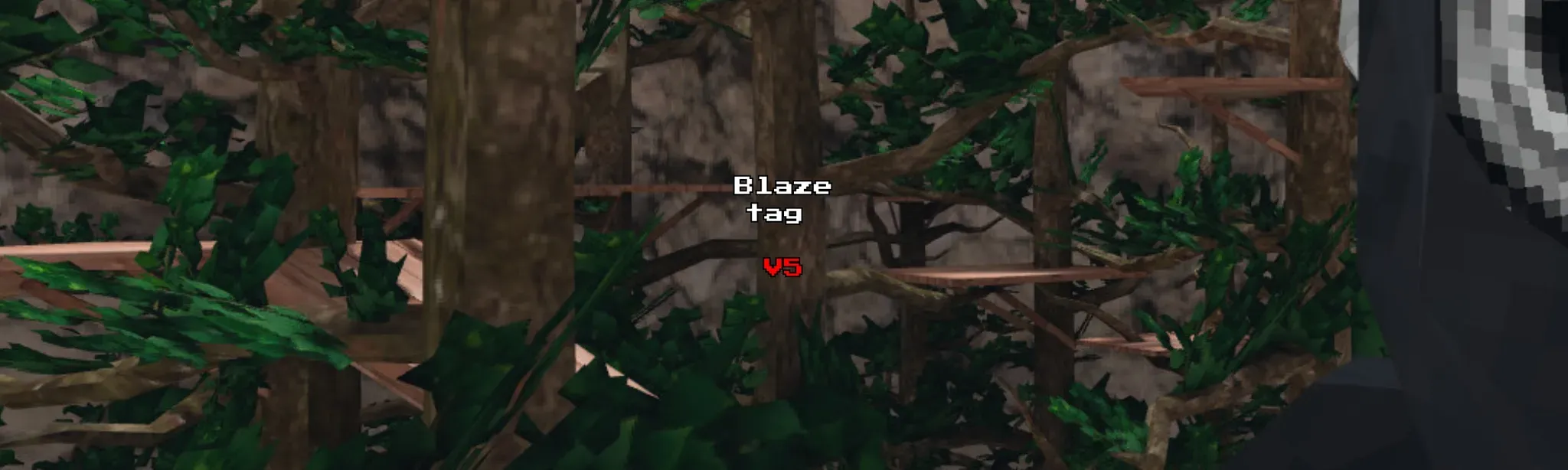 Blaze Tag V5