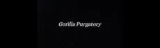 Gorilla Purgatory hero image