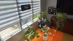 Chloro - Houseplant Care Tool screenshot 2