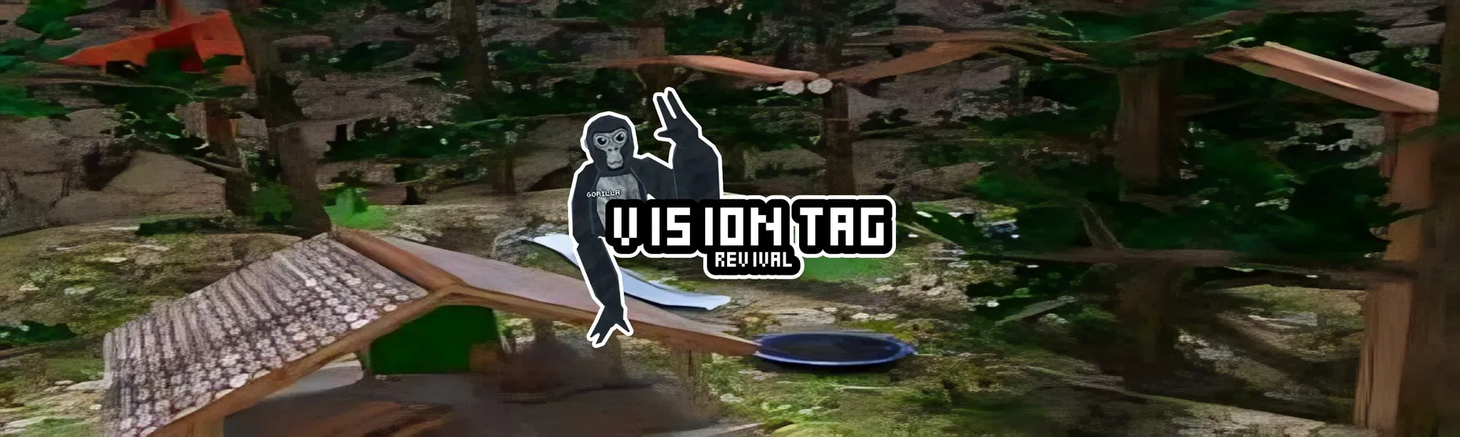 Vision Tag Revival