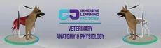 Veterinary Anatomy and Physiology hero image