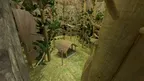 Gorilla Realism⠀ screenshot 2