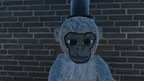 ProjectCosmetics screenshot 3