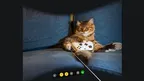 ScopeVR - Convert 2D to 3D Spatial AI screenshot 4