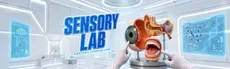 Anatomy Learning Labs: Sensory Lab hero image