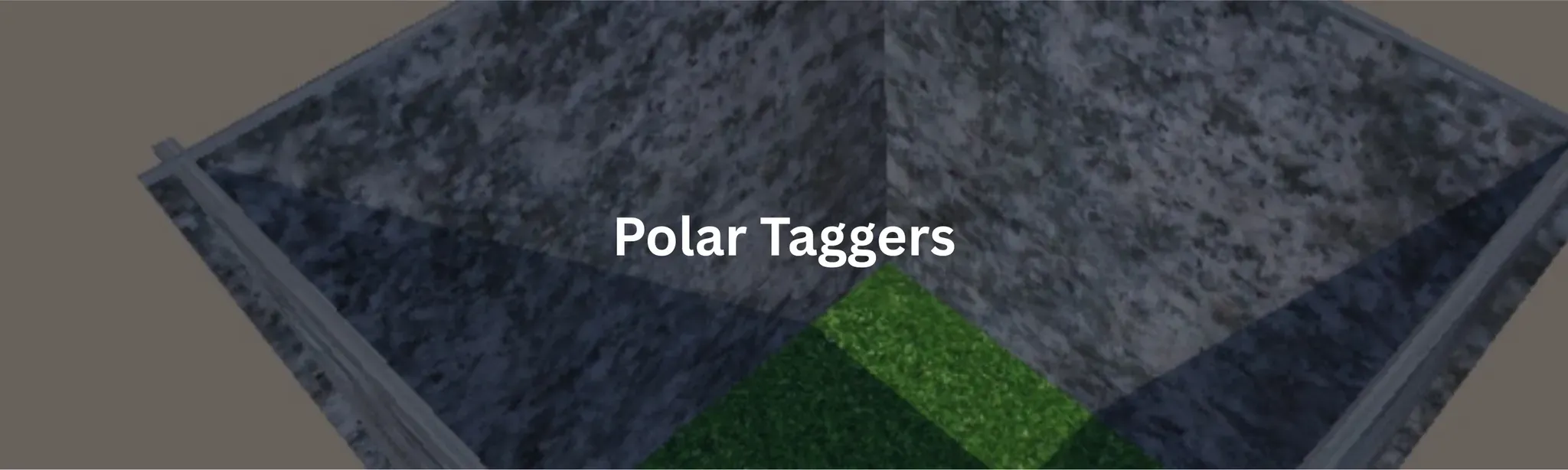 Polar Taggers