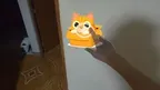 SecretKittensXR screenshot 0