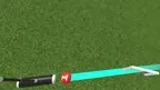 Paralympics - Gateball screenshot 4