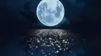 MUA - XR Meditation Solution screenshot 1