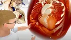 MEDICALHOLODECK. ANATOMY, IMAGING, AI screenshot 1