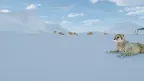 Shooting Range screenshot 2