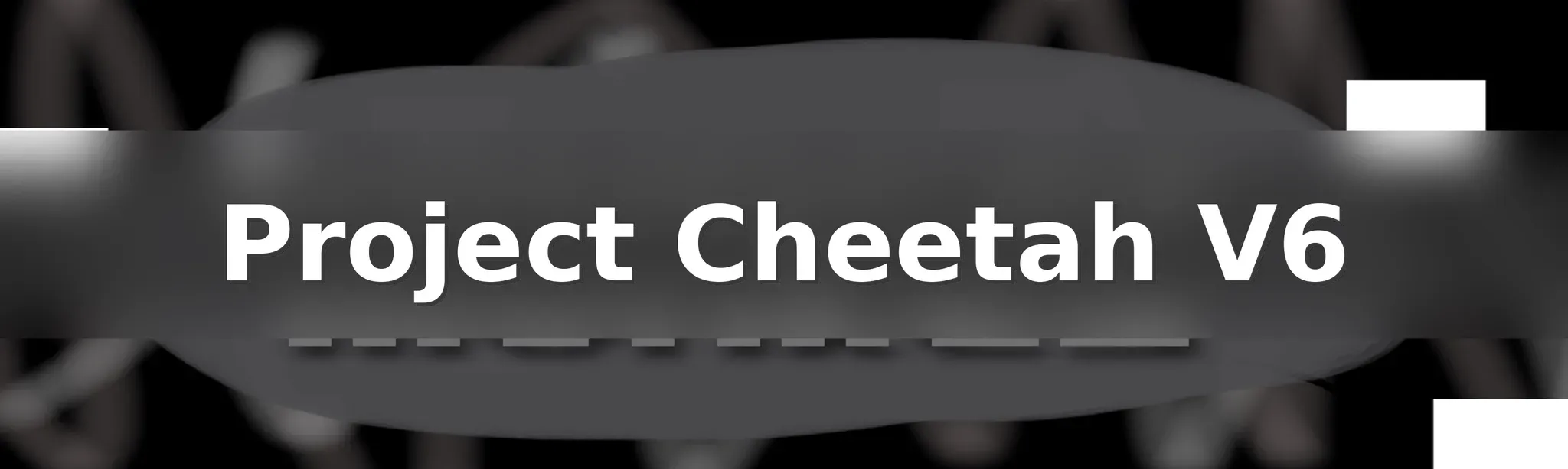 Project Cheetah V6