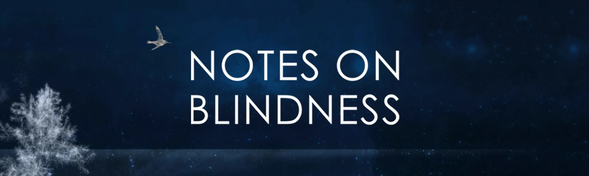 NOTES ON BLINDNESS