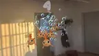 TinyFins screenshot 2