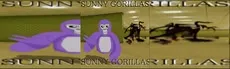 Sunny Gorillas hero image