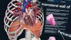 3D Organon XR screenshot 1