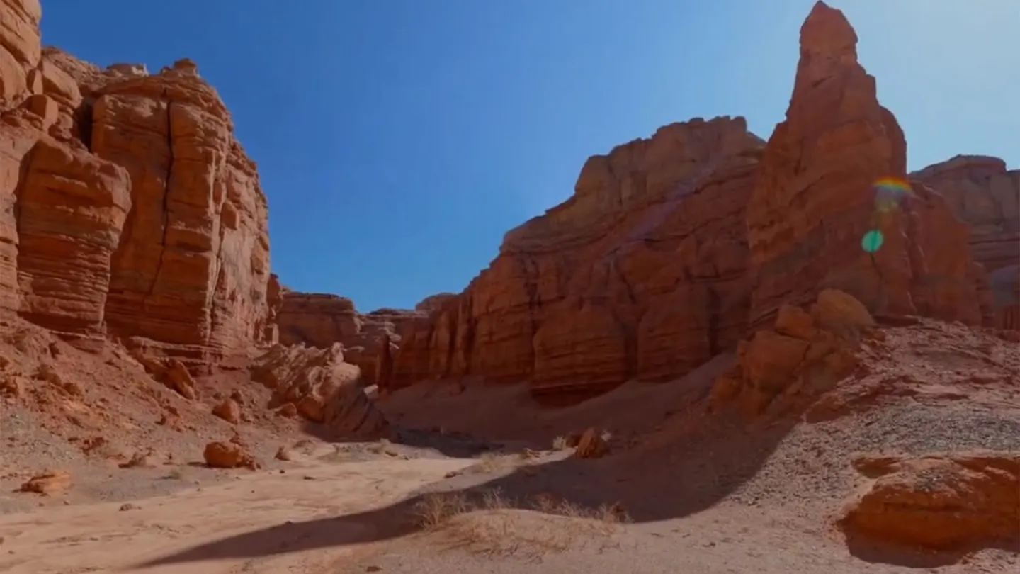 Nature of Southern Mongolia cover image