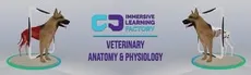 Veterinary Anatomy and Physiology hero image