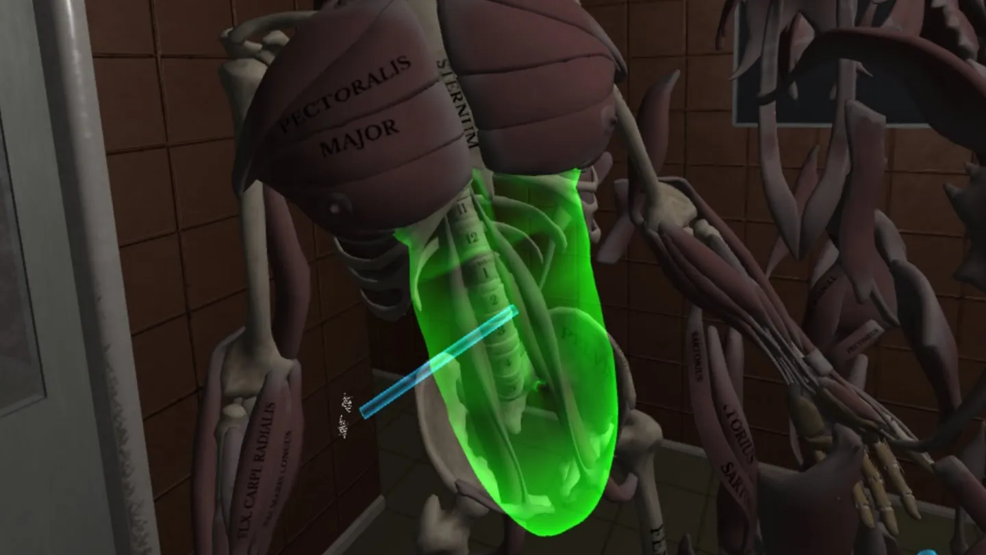 Human Anatomy Puzzle trailer 0