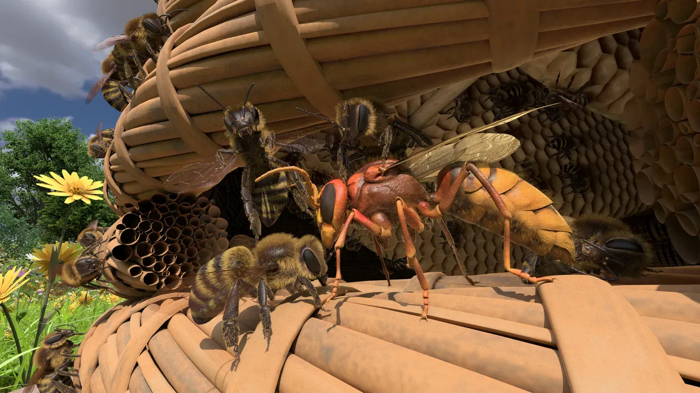 Honeybee VR cover image