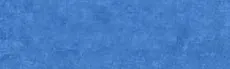 BlueBerry Bouncers hero image