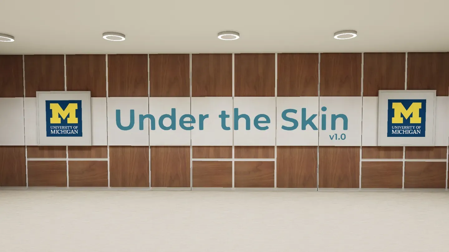 Under the Skin cover image