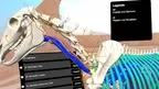 ATM Academy screenshot 0