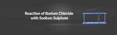 Reaction of Barium Chloride with Sodium Sulphate hero image