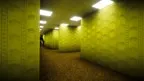 Raccoon Rampage screenshot 1