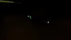Chimp Locomotion screenshot 1