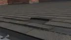 Exam: Damage to Asphalt Shingle Roofing screenshot 3