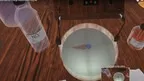 Electrolyte And Ion Experiment - ContentsDa Science Experiment screenshot 5